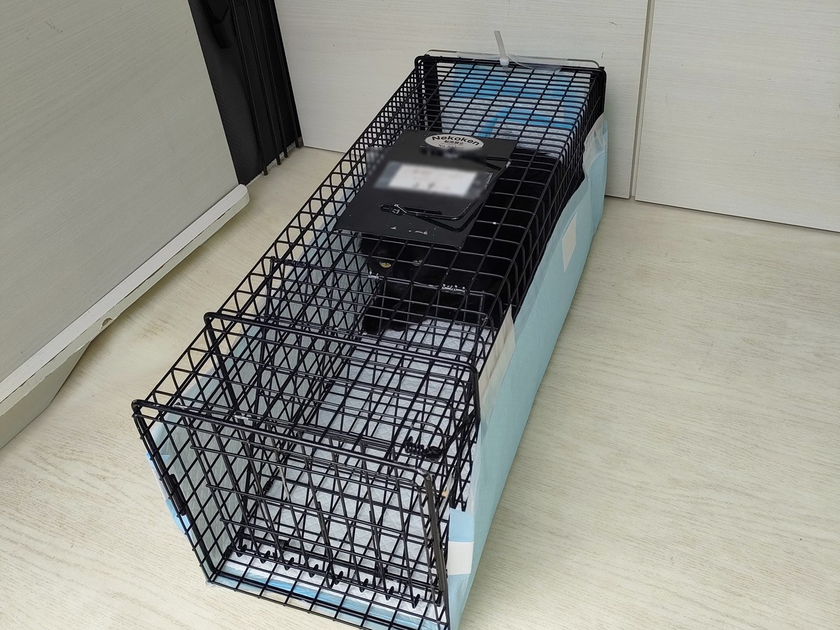 捕獲器