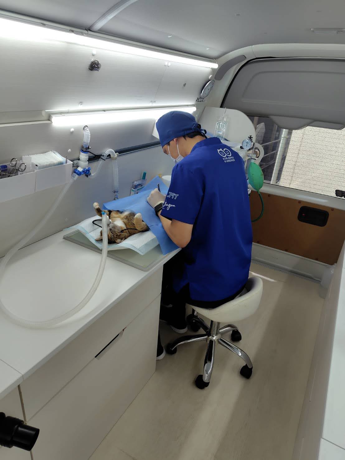 ニコワゴン車内での手術の様子